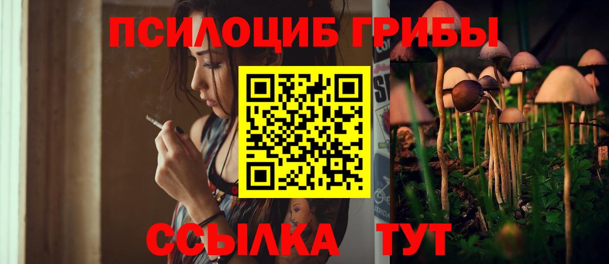 Галлюциногенные грибы прущие грибы  Вход с VPN  Кстово 